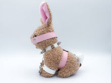 Load image into Gallery viewer, Pinky Bunny plushie
