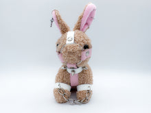 Load image into Gallery viewer, Pinky Bunny plushie
